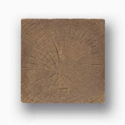 Planche de jardin en béton Acacia marron 22,5 cm x 22,5 cm x 3,5 cm